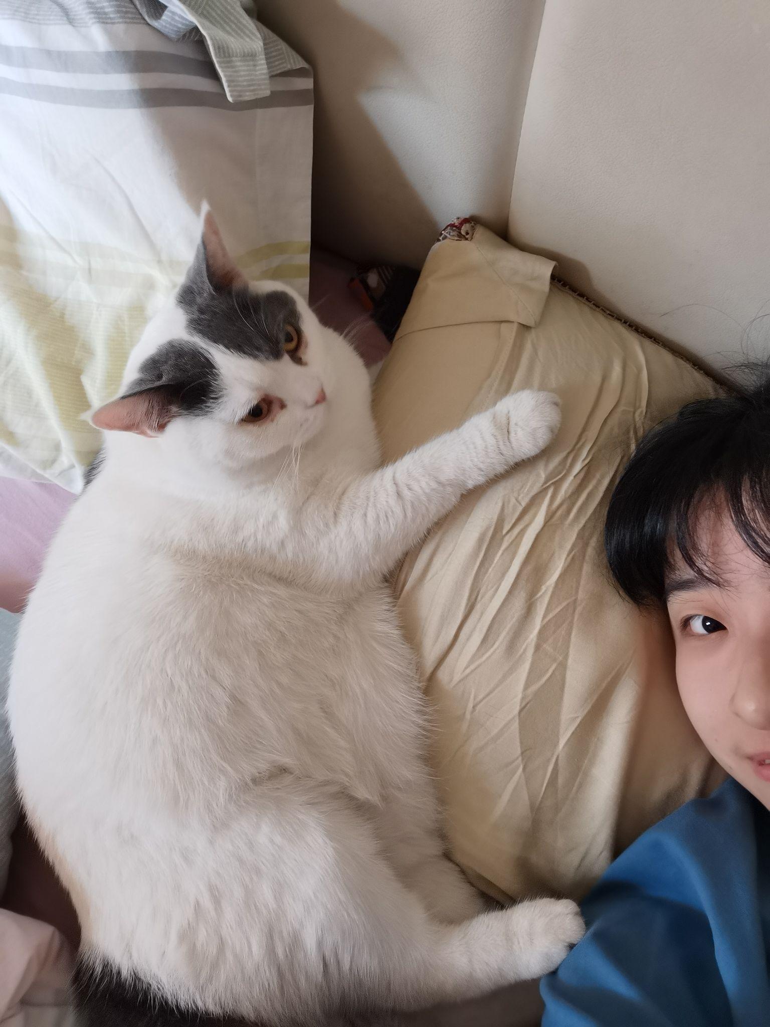 有哪些人和猫都可以吃而且觉得好吃的零食?