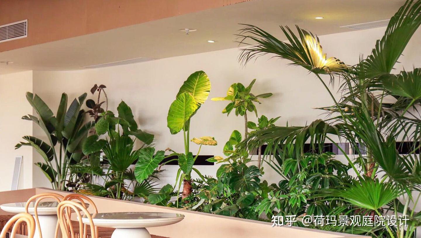上海室内绿植景观设计——简约自然,打造天然小氧吧! - 知乎