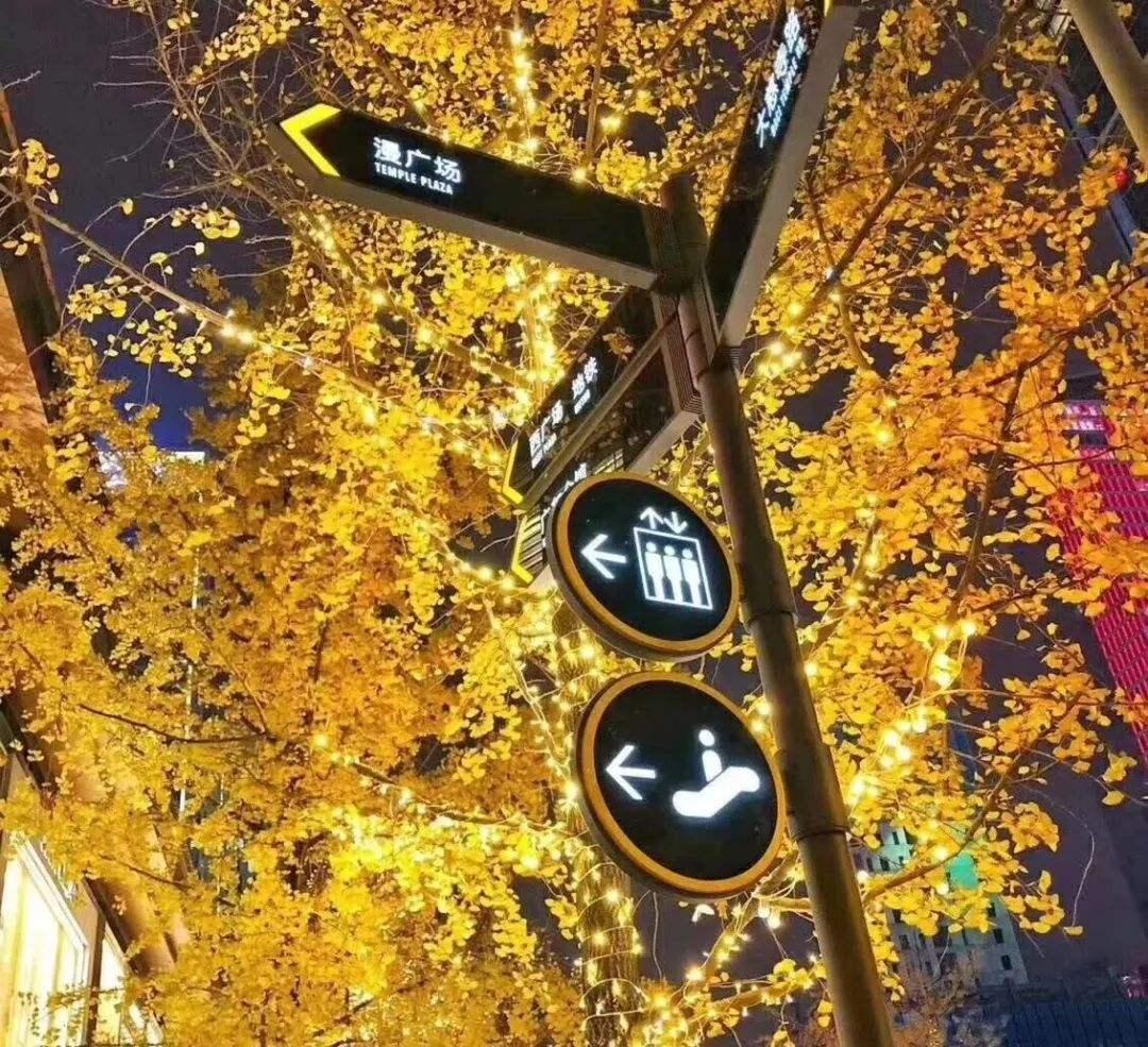 一个矛盾的集合体 知乎 一个矛盾的集合体 知乎