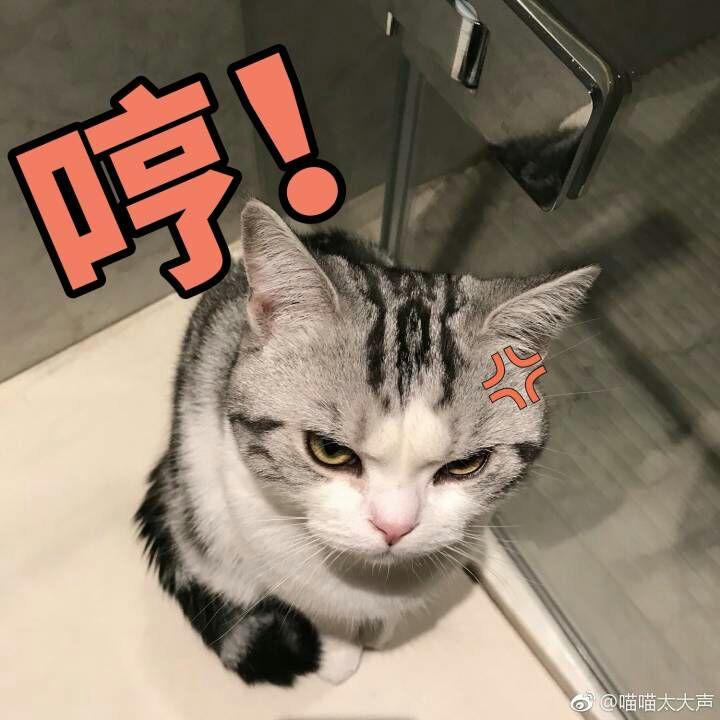 朋友欠钱不还怎么办?电话通着永远不接,用别的