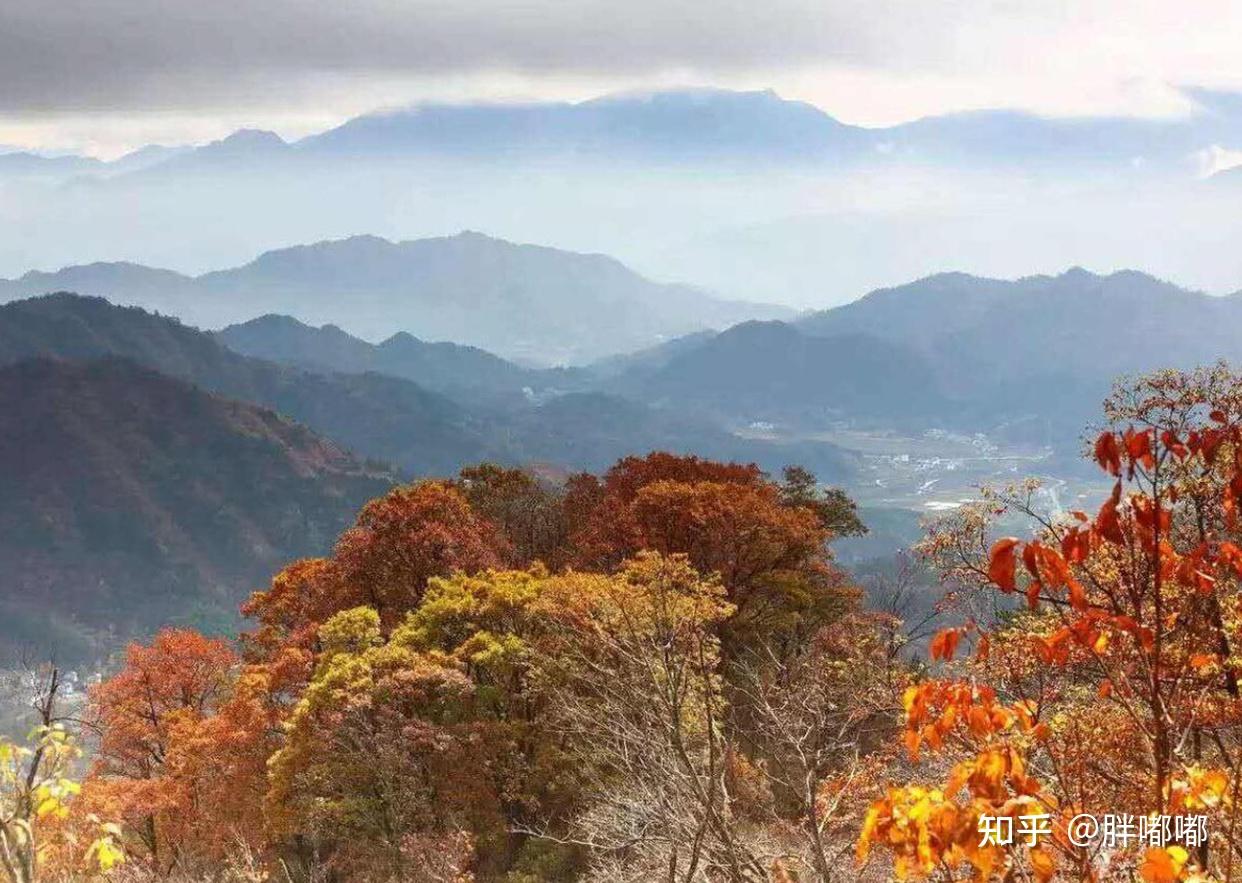 2023年最值得去的旅游线路有哪些(2023年最值得去的旅游线路有哪些城市)