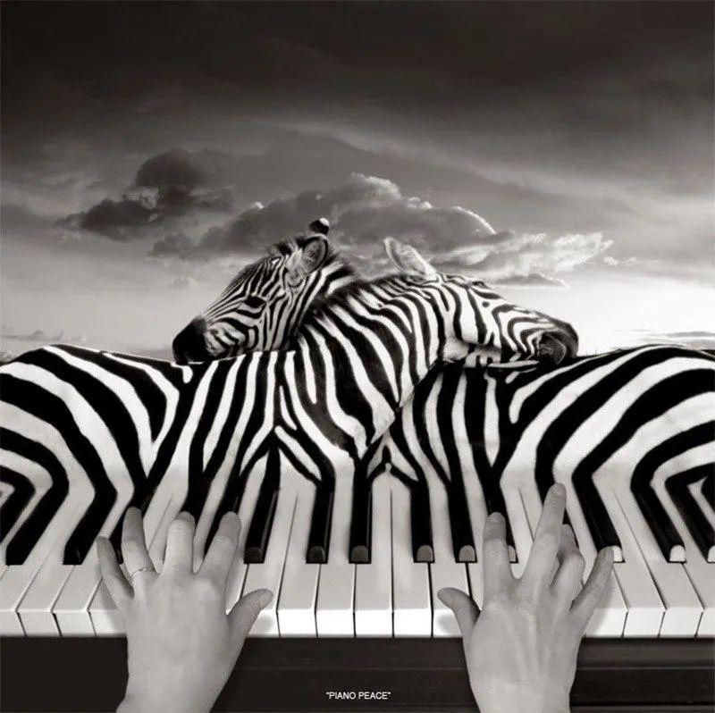 031 Photomontages 031-photomontages
