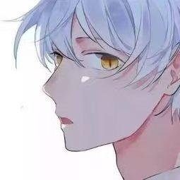 AIIOW广角