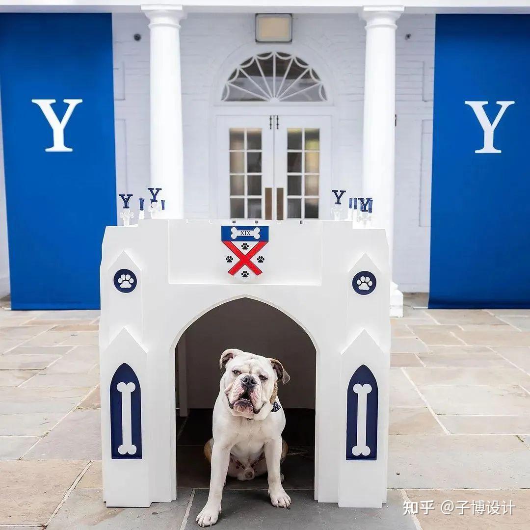 学校吉祥物—英俊的丹(帅丹)设计定位耶鲁大学在 1889 年收养了一只