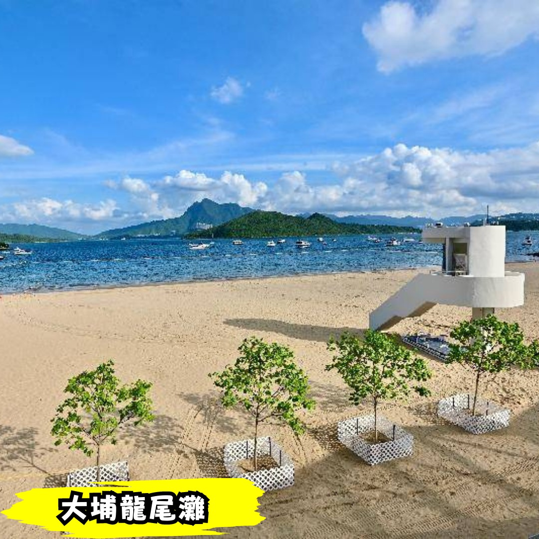 香港本地人的推荐丨香港18区旅游指南丨大埔区 - 知乎