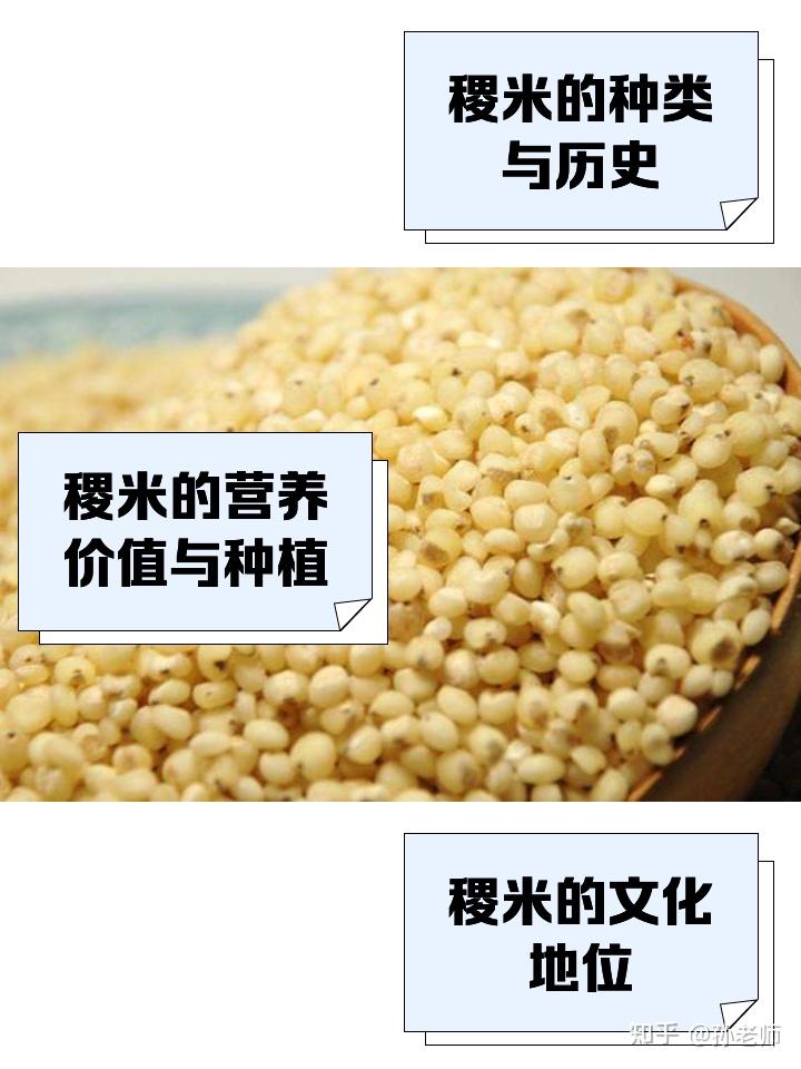 不但现代人,自古以来很多文化人对黍稷和粟都区分不清楚 - 知乎