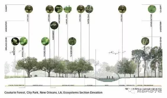 针对现状植被,大多数分析图会采用表格式或圆环式构图,做出比较抓人