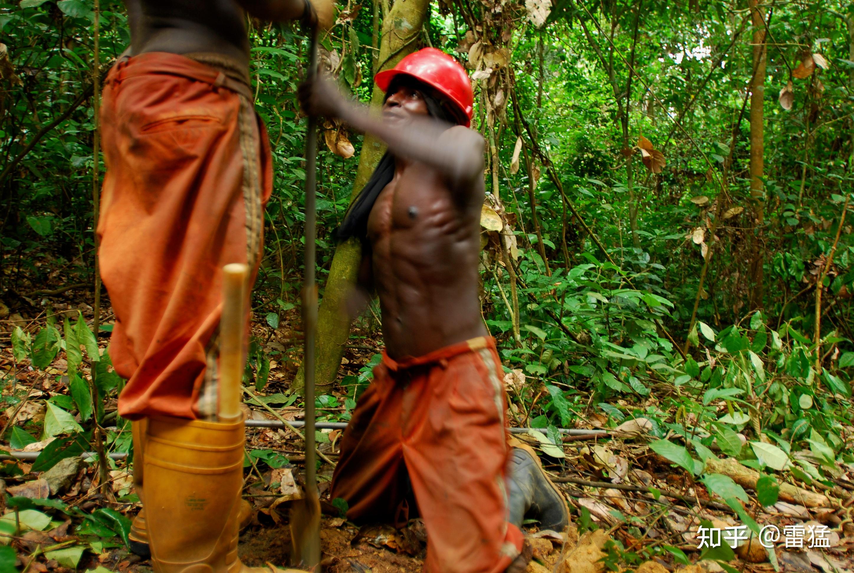 白人女性,黑人女性,体味都很大,汗毛都很硬吗?