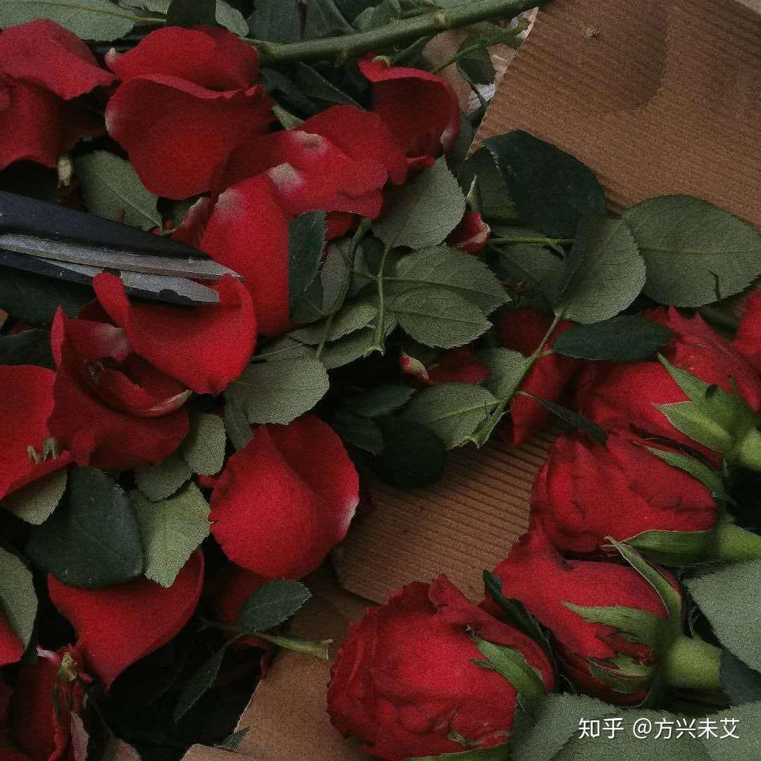 网上买花靠谱吗(网上买花在哪个网站比较好)