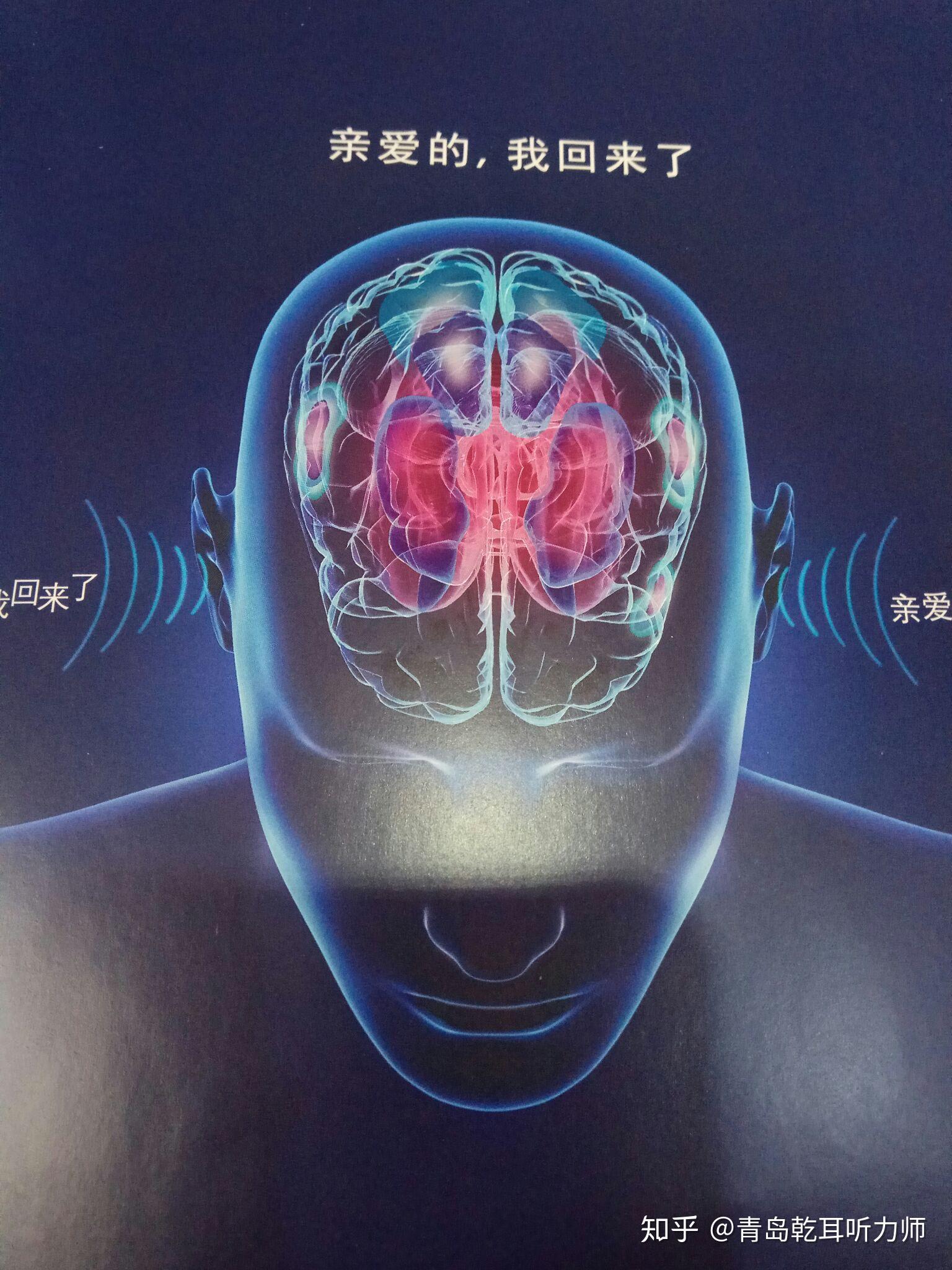 大脑是如何理解声音的?为什么长期听力损失会让人变傻?