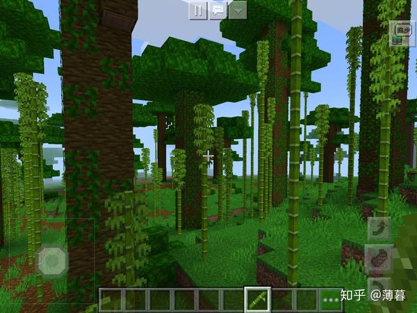 Minecraft生存指南专题 种植 知乎