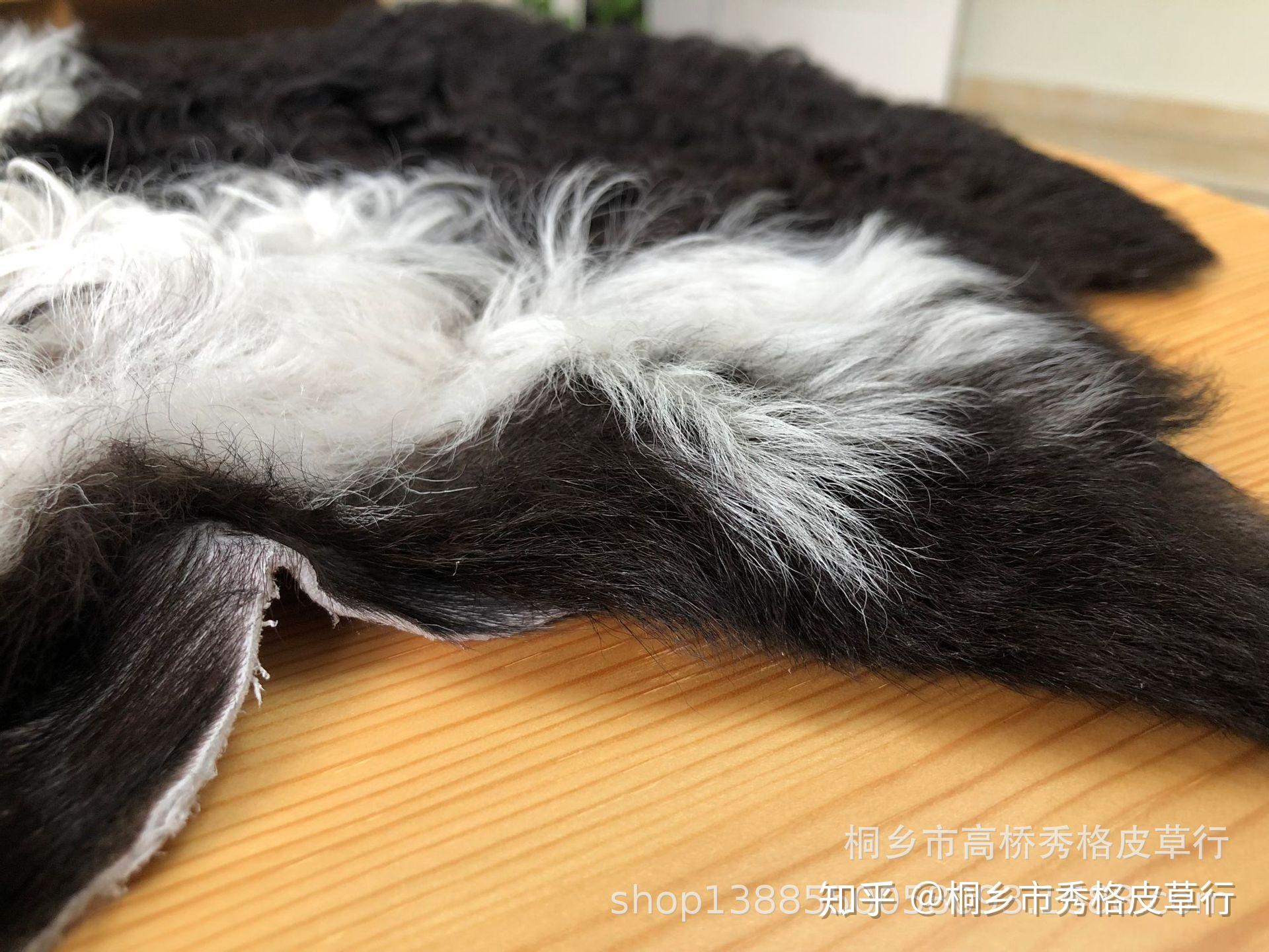 提格拉多羊毛介绍,什么是tigrado提格拉多皮毛一体?