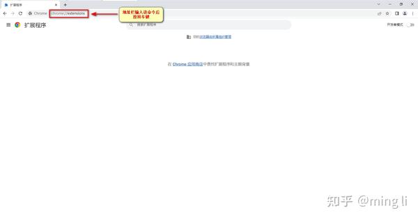 Chrome Extensions(扩展程序)下载和安装 - 知乎