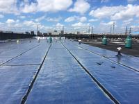 制作职业信息网的个人主页