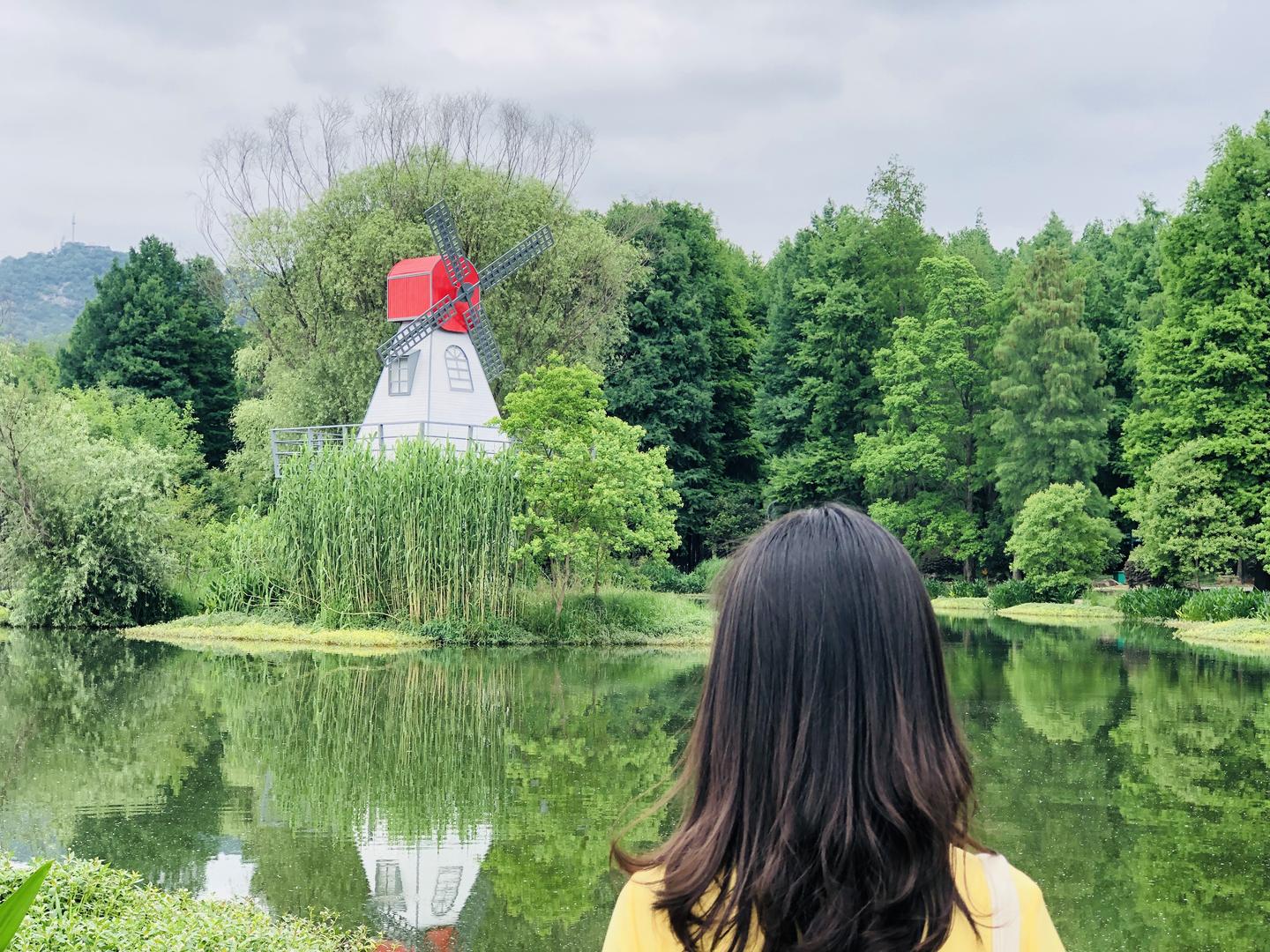 Gre 经验贴 二战330 161 170 4 知乎