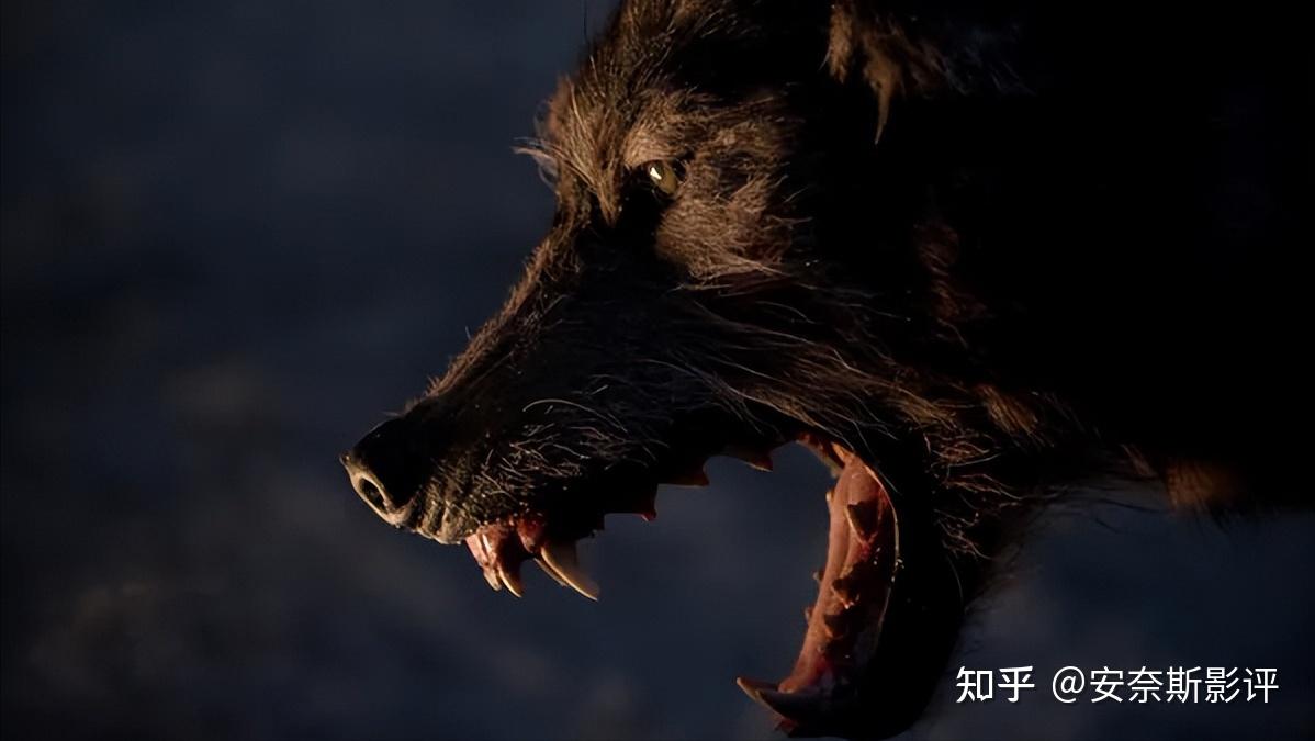 如何评价电影人狼大战thegrey2011