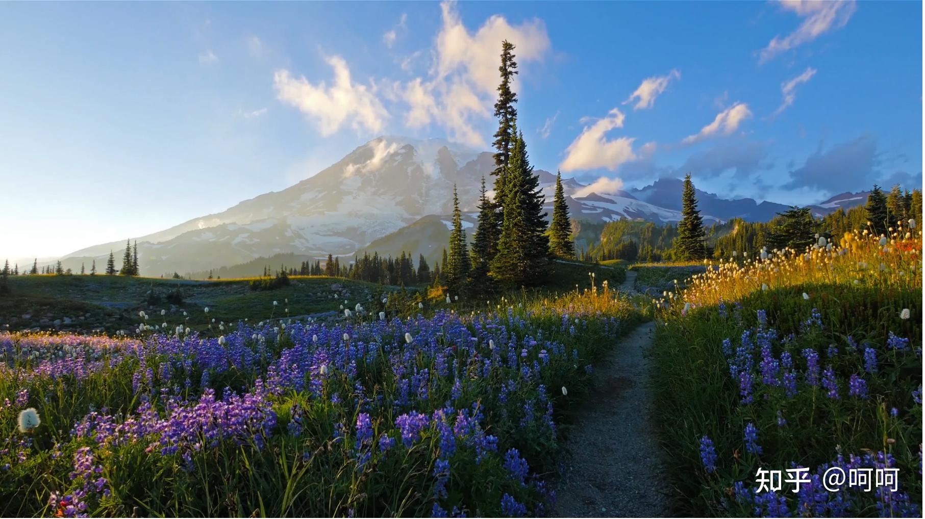 六,sakura&smoke(venedunkel)动态壁纸,岩浆是流动的,但是这是我拿来