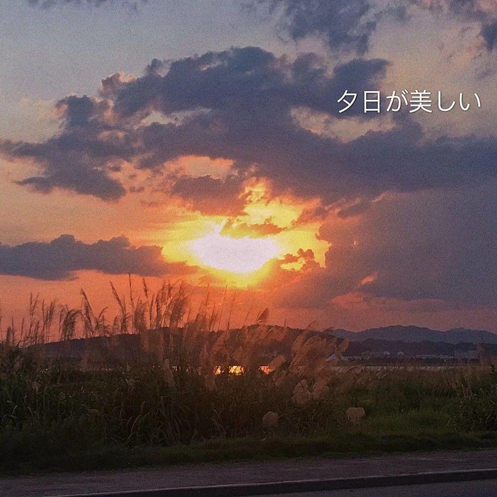 v2-9fb4ac5b2db0a25851d5db0b8875c748_r.jpg