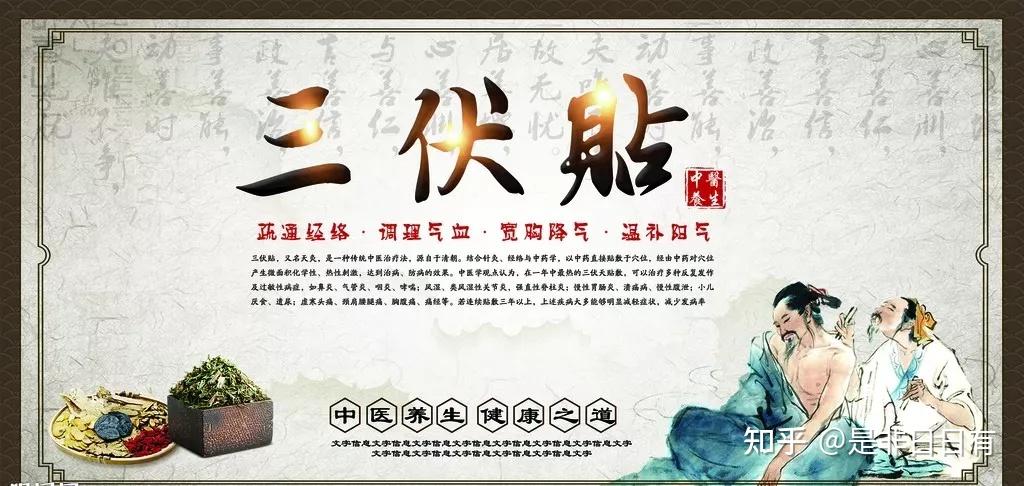 三伏贴最全指南！必须果断收藏！ - 知乎