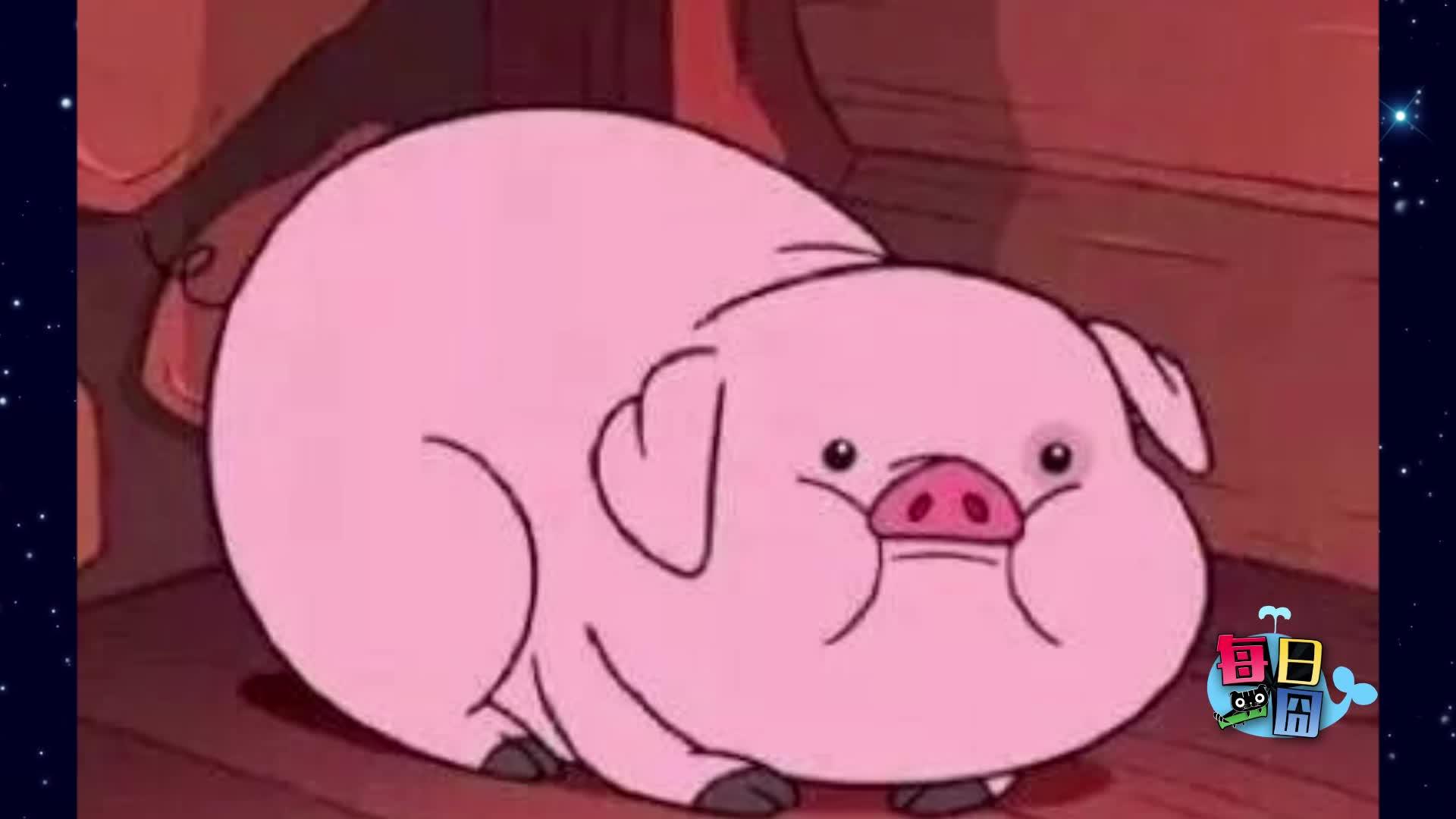 每日一囧有对象的生物都一样睡觉不是手麻就是腿麻