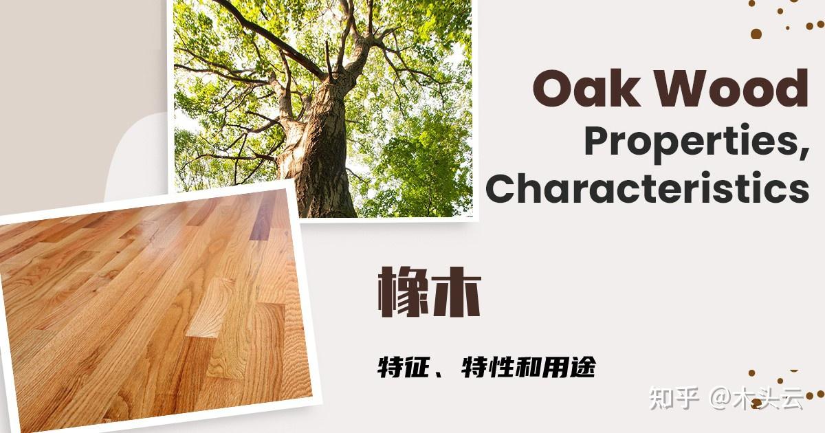 如何分辨橡木和橡胶木? - 知乎