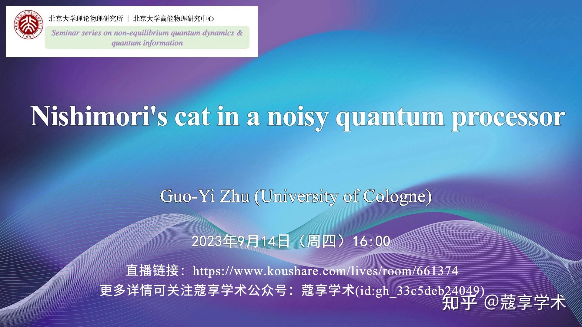  Nishimori s Cat In A Noisy Quantum Processor 