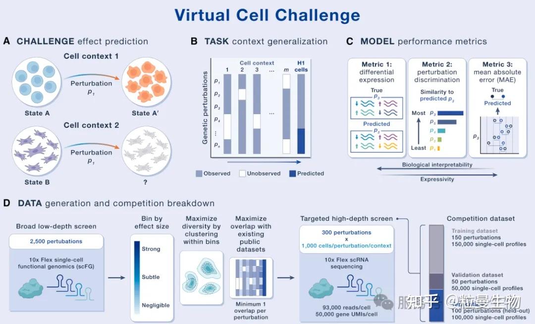文献解读 | Virtual Cell Challenge - “虚拟细胞”的图灵测试里程碑! - 知乎