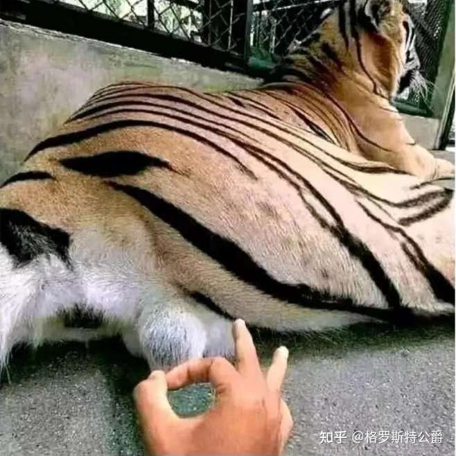 朔方的火