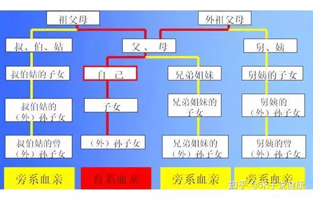 埃及艳后两任丈夫竟都是亲弟近亲婚配的危害你知道多少