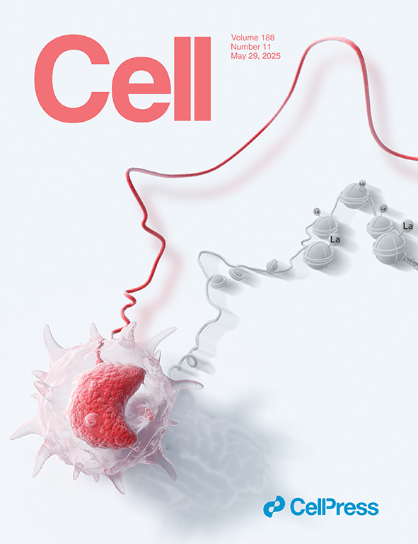 文献速递 Cell 2025 5 29 面向临床医生的微生物组研究 疾病相关蛋白质组 拟南芥单细胞 知乎