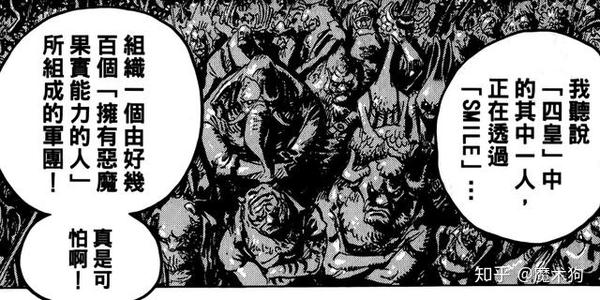 海贼王伏笔 除了凯多 还有一个人建立了能力者军团 知乎