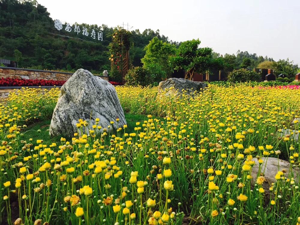 重庆市璧山区河边镇西郊福寿园地址在哪交通方便吗公墓怎么样