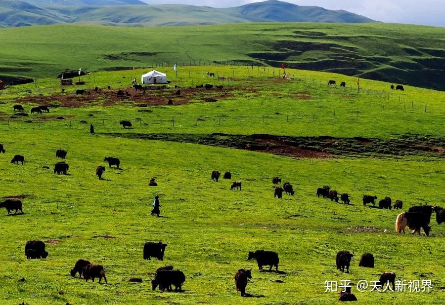 摄影名师 | 天人影像专访周瑞生:描绘大千世界,定格瞬间精彩 - 知乎