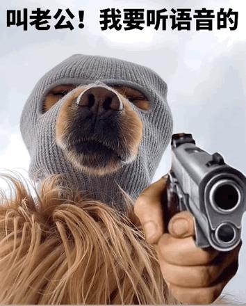 一组霸气狗狗表情包