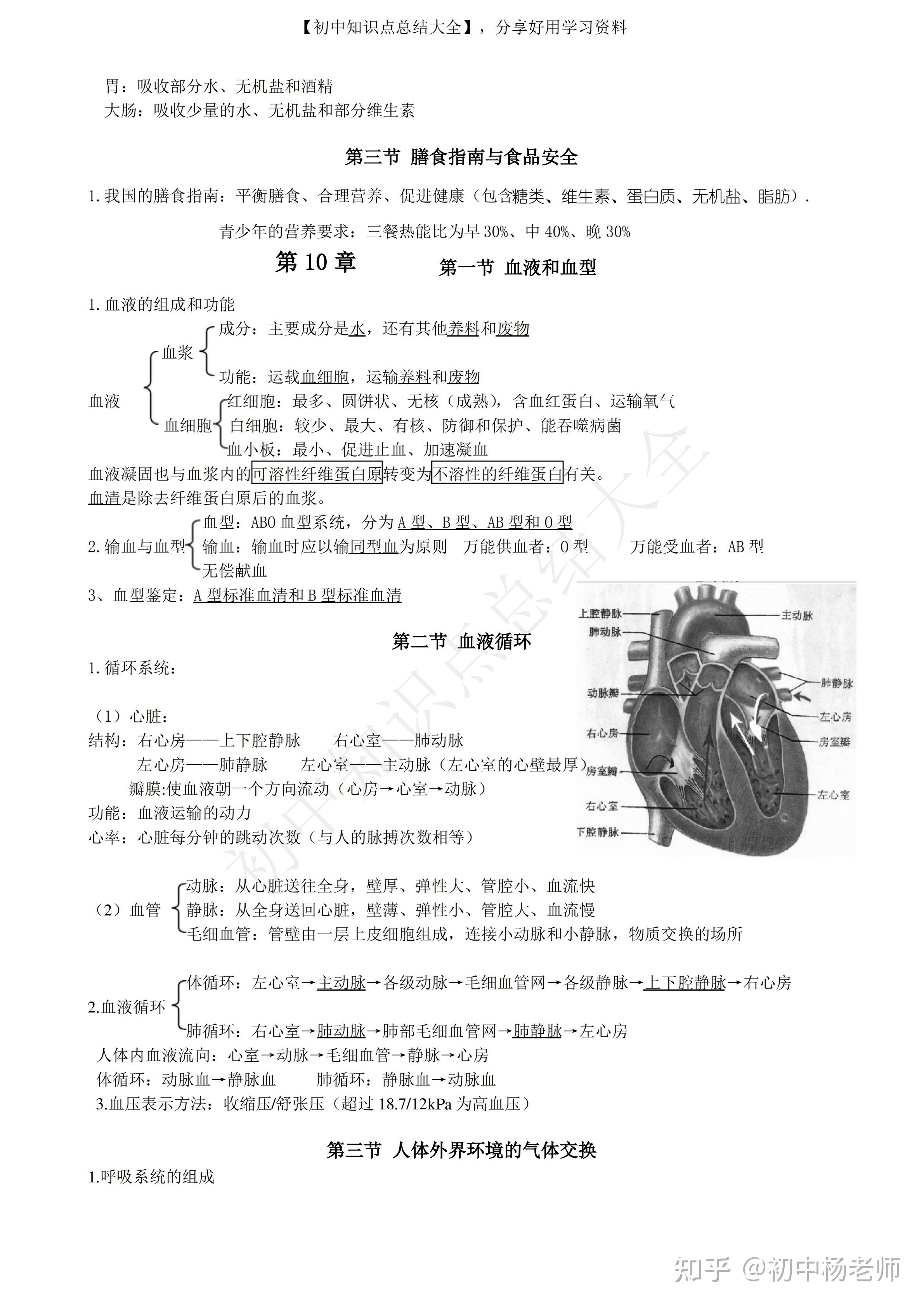 苏教版 初一七年级生物下册知识点总结