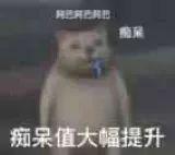 Mur猫表情包合集6 - 知乎