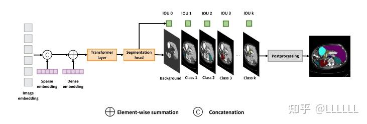 SAMed:Customized Segment Anything Model for Medical Image Segmentation - 知乎