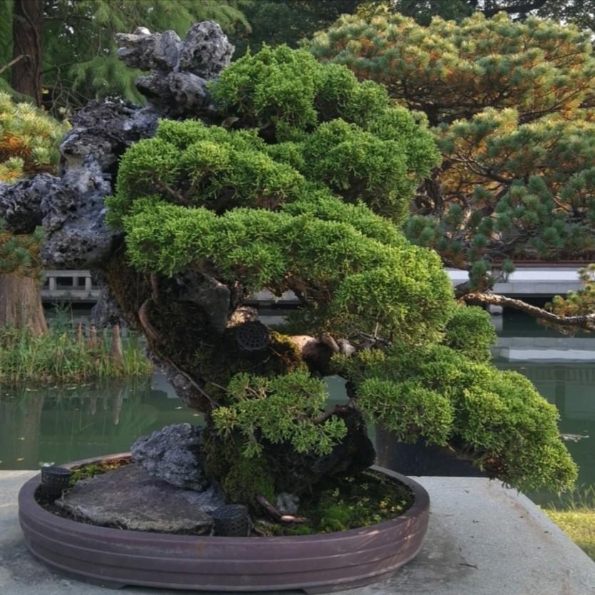 时光絮语