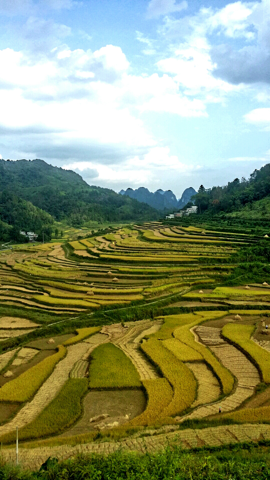 今年十一,巴泽梯田景区还在开发状态,目前还是免费(截止2016年10月5
