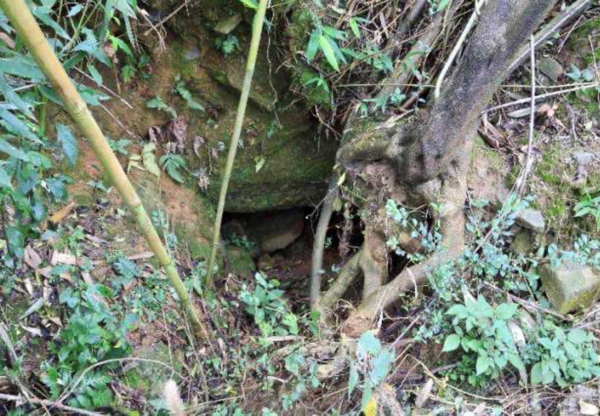 �ھ����ɽʱ���ֵĵ���