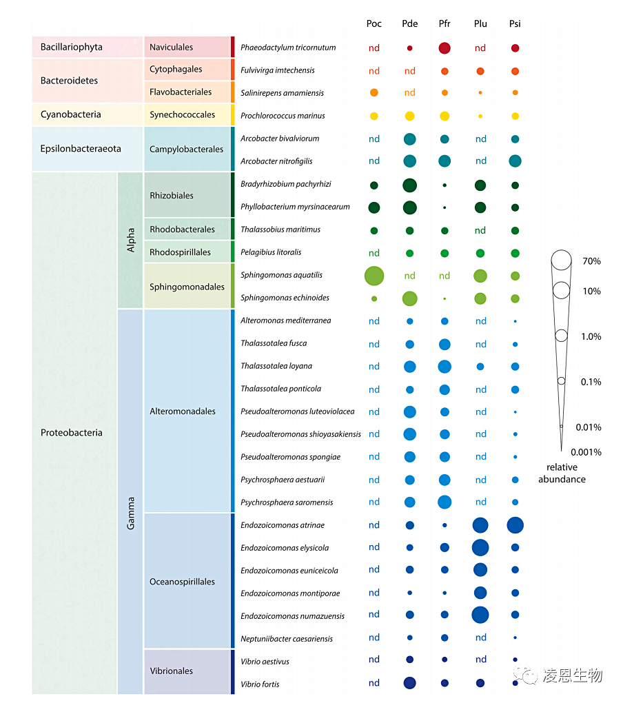 PacBio三代全长扩增子测序对珊瑚共生虫黄藻和细菌群落进行精确分类 - 知乎