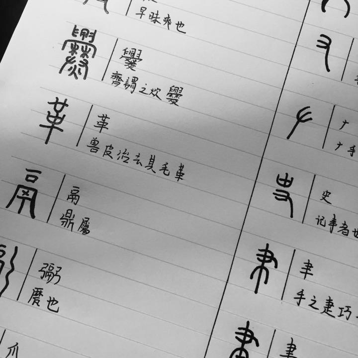 有人在学习说文解字540个部首么?