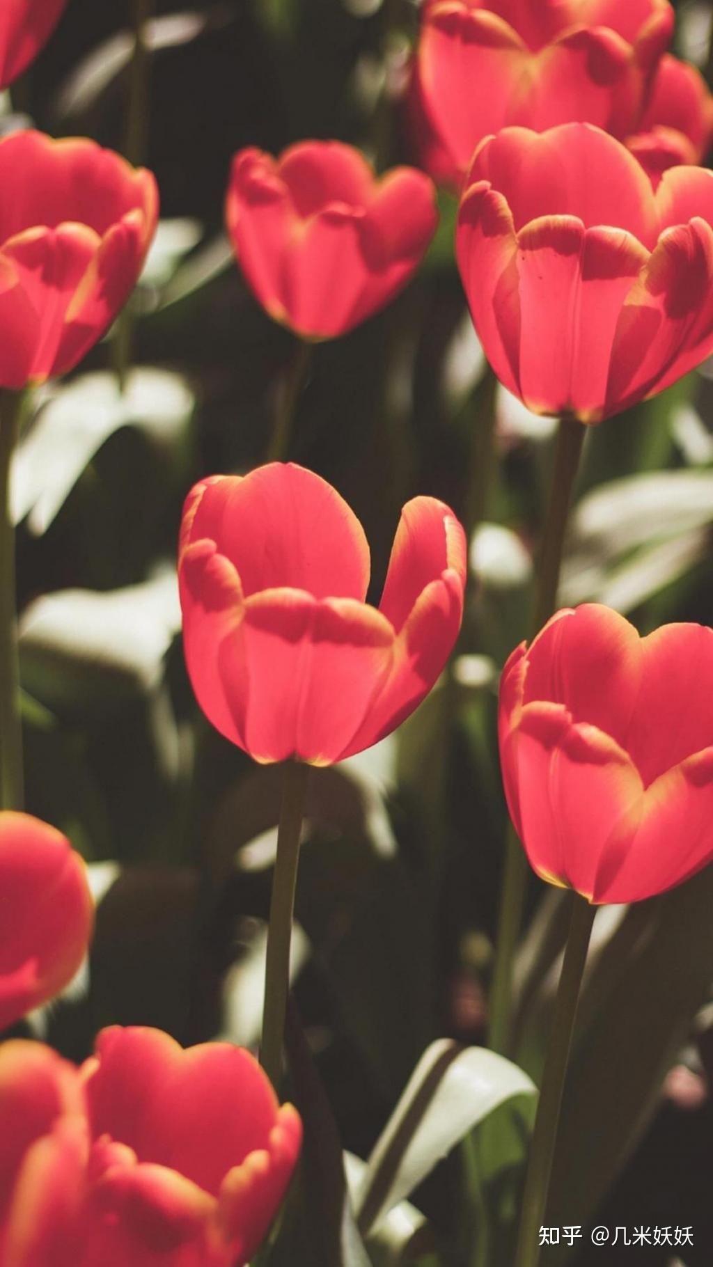 可以推荐几张好看的高清全面屏壁纸吗