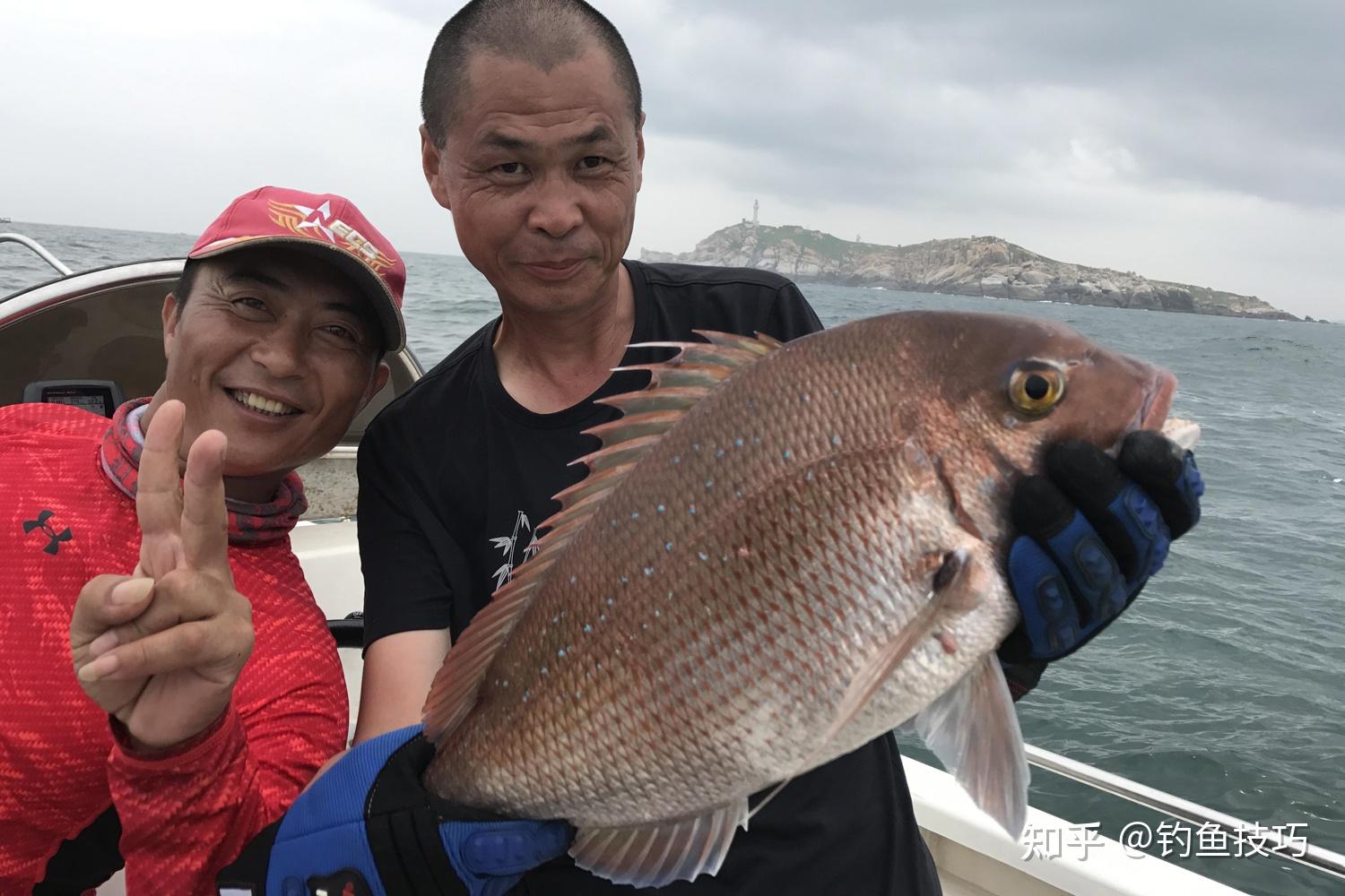 大真鲷如何钓?海钓大真鲷的5个要点 - 知乎