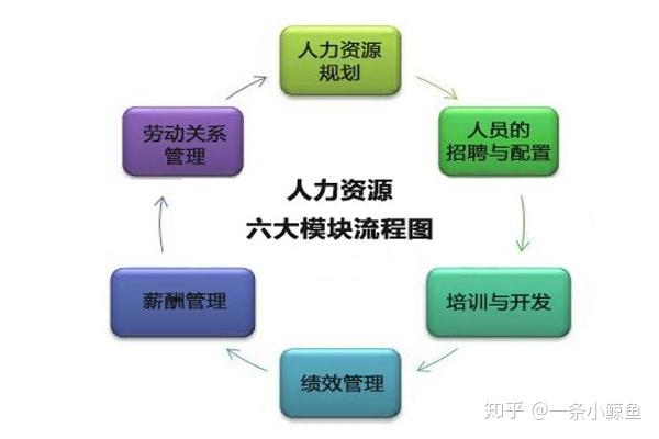 想快速入门人力资源管理应该了解什么？ - 知乎