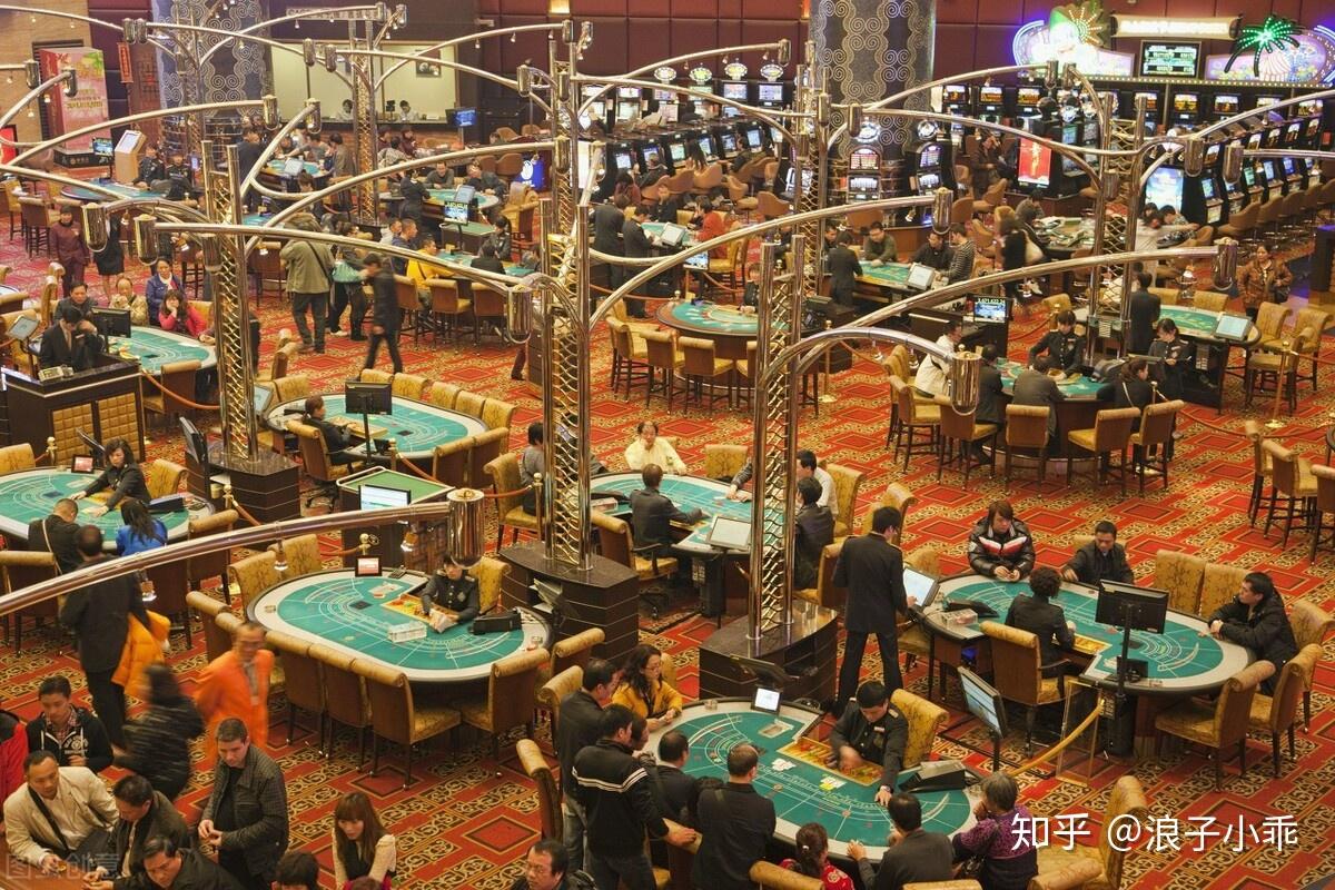 赌徒值得被原谅吗