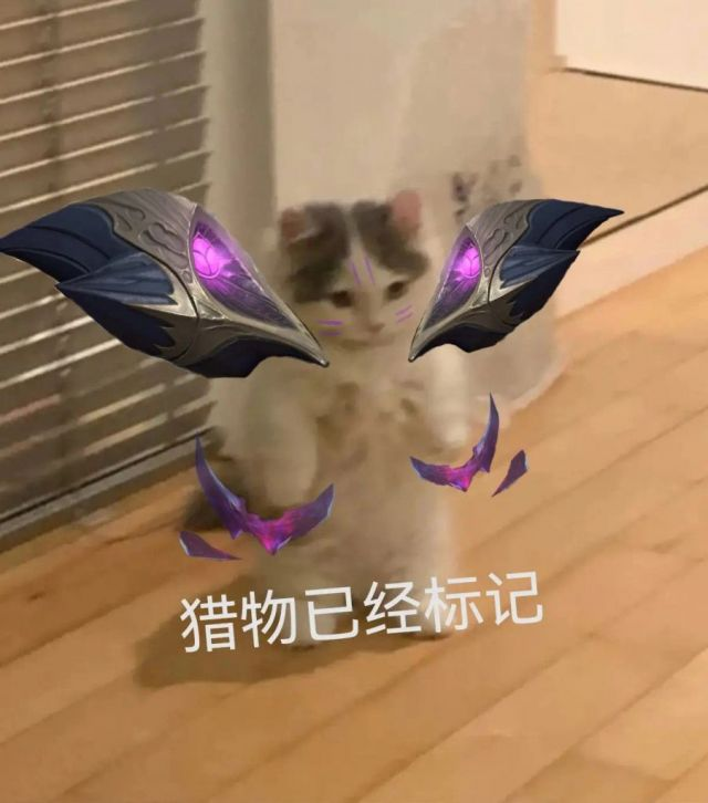 你都有哪些英雄联盟魔法猫咪的表情包