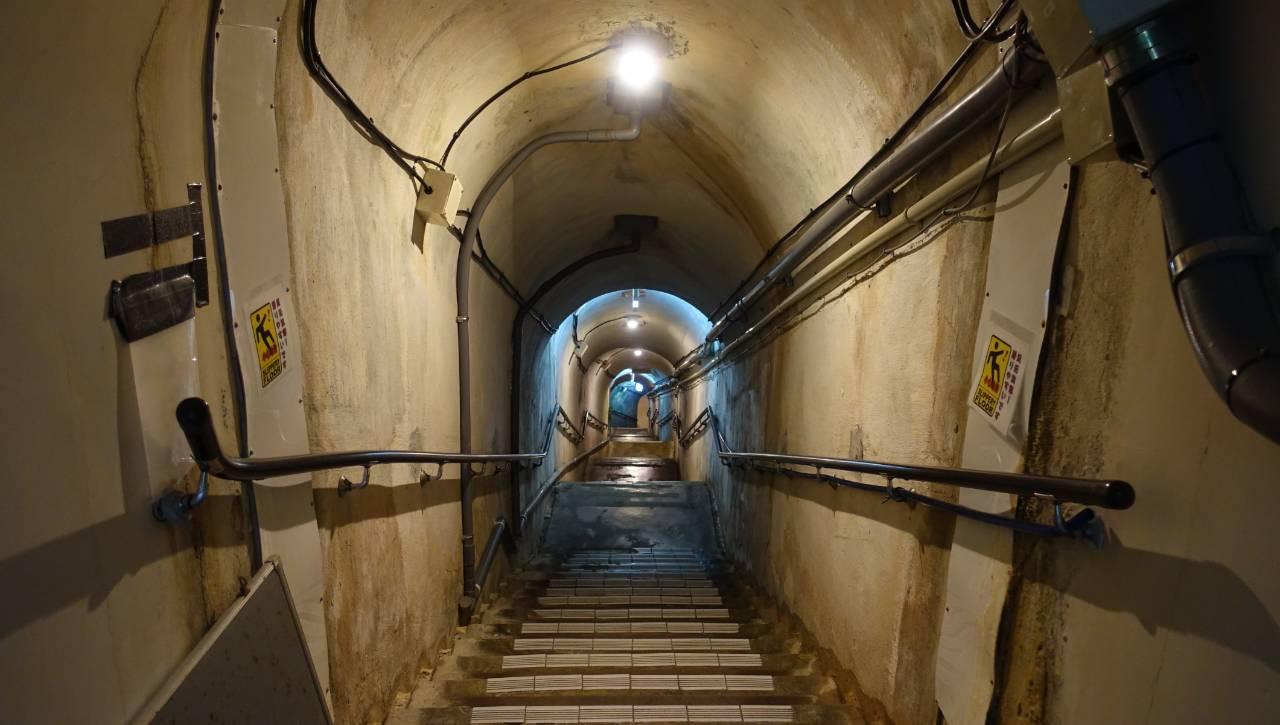 猫咖地堡与二手商场非典型冲绳游记