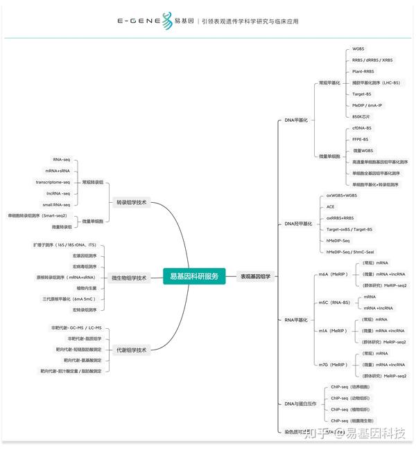 易基因：多组学关联分析及组学分子实验验证方法（表观组+转录组+微生物组）｜干货系列 深圳市易基因科技 博客园