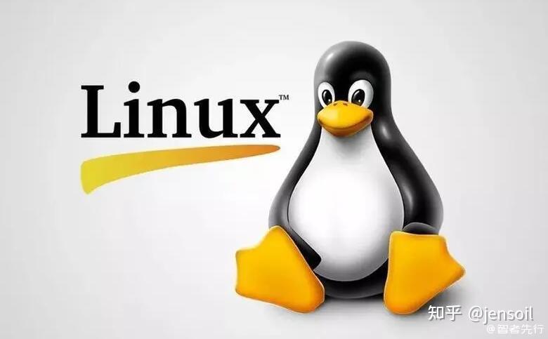 Linux 的 “私心” 之鉴:RISC - V 国内生态建设的荆棘与坦途 - 知乎